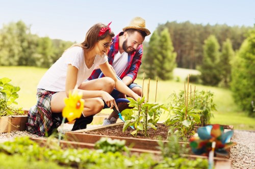 Choosing the right tree service provider in Thornton Heath