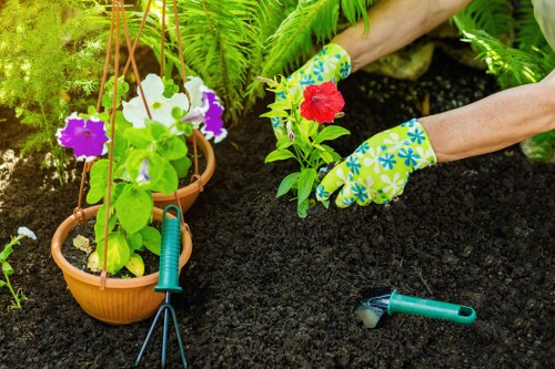 Gardener with toolkit starting work in a suburban Thornton Heath garden