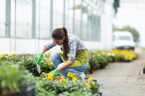 Professional gardening services transforming Thornton Heath outdoor spaces