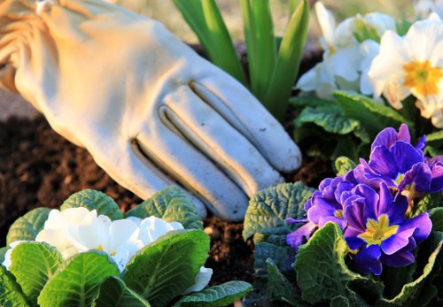 Eco-friendly hedge trimming practices with green waste recycling