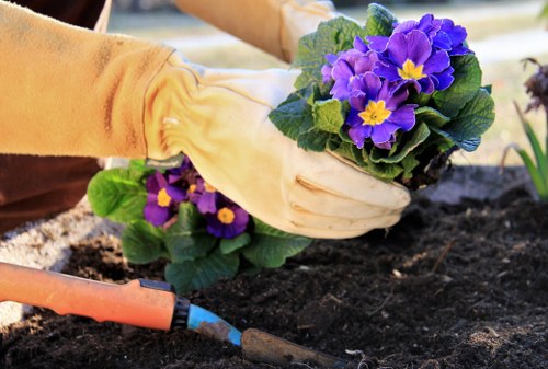 Horticulturists planning a garden design