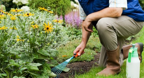 Seasonal garden maintenance activities in Thornton Heath