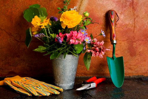 Regular lawn mowing benefits for a healthy garden