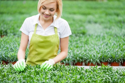 Expert lawn mowing services enhancing garden beauty