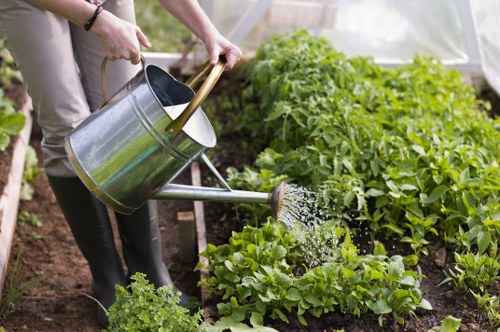 Residential landscaping projects in Thornton Heath